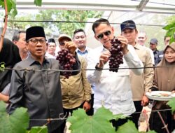 Inovasi Agrowisata BUMDes Merak Batin Sedot Perhatian Mendes PDT dan Pemkab Lampung Selatan
