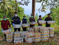 KSKP Bakauheni Bersama BKSDA dan Karantina Lepas Liarkan 2.775 Eksemplar Satwa Burung Tanpa Dokumen Resmi
