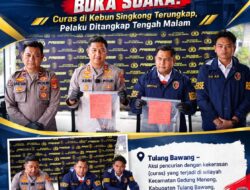Curas di Kebun Singkong Terungkap, Pelaku Ditangkap Tengah Malam
