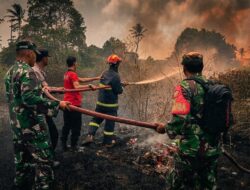 Asap Hitam Selimuti Sidomulyo, Aksi Heroik Petugas Padamkan Kebakaran Lahan di Lampung Selatan