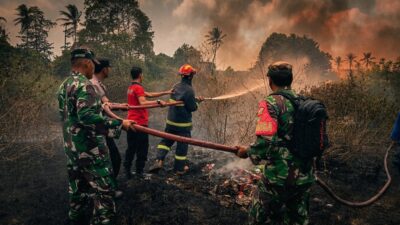 Asap Hitam Selimuti Sidomulyo, Aksi Heroik Petugas Padamkan Kebakaran Lahan di Lampung Selatan