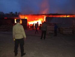 Kebakaran Hebat Hanguskan Pabrik Kayu Palet di Pringsewu, Kerugian Ditaksir Rp 1,2 Miliar