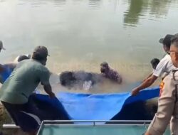 Hilang Dua Hari Saat, Warga Pasir Ukir Ditemukan Meninggal di Aliran Way Sekampung