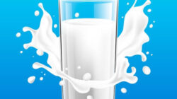 Menu MBG Dilarang Menggunakan Minuman Rasa Susu Dan Susu Kental Manis