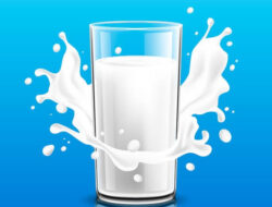 Menu MBG Dilarang Menggunakan Minuman Rasa Susu Dan Susu Kental Manis
