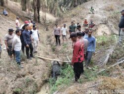 Kali Kedua Tapir Muncul di Mesuji, Warga dan Kepolisian Amankan Tapir di Taman Kehati