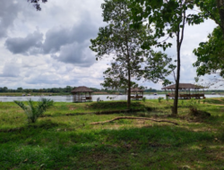 Mengulas Kembali Rencana Ecopark dan Budidaya Perikanan di Bendungan Way Tebabeng
