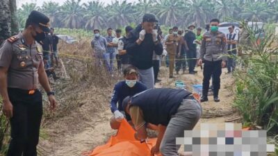 Misteri Jasad Perempuan Tergeletak di Kebun Sawit Mesuji Terkuak, Polisi Lakukan Autopsi
