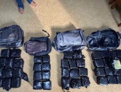 Polda Riau Gagalkan Peredaran 47 Kilogram Sabu di Pekanbaru, Satu Orang Tersangka Diamankan