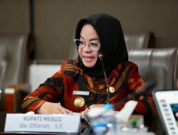 Pemkab Mesuji Siapkan Sistem Terintegrasi 