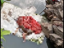 GEGER! Jasad Bayi Membusuk Terbungkus Plastik Ditemukan Terapung di Sungai Puntung Abung Timur