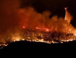 Lahan 7 Hektare di Plaju Darat Terbakar Hebat, Warga Panik Api Nyaris Lalap Pemukiman