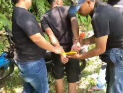 Pencuri Amatiran Terekam CCTV Kenakan Baju Bergambar Harimau, Alhasil Dibekuk TIM URC Polres Lambar