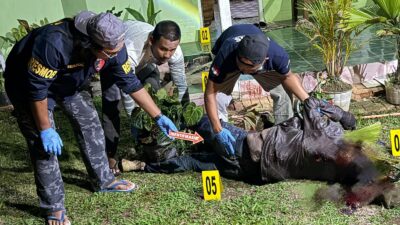 Polres Lampung Barat Ungkap Kasus Pembunuhan Ringkus Pelaku Utama di Way Tenong