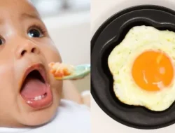 Jangan Beri Telur Mentah atau Setengah Matang untuk Bayi, Ini Alasan Dokter